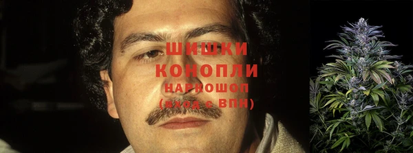 дурь Белокуриха