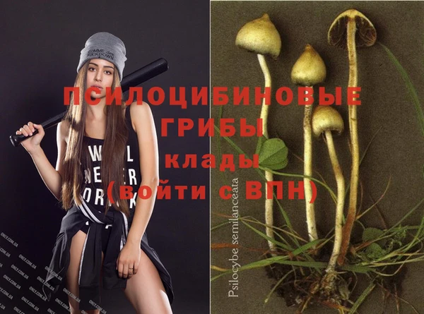 дмт Беломорск