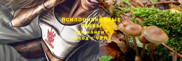 дмт Беломорск