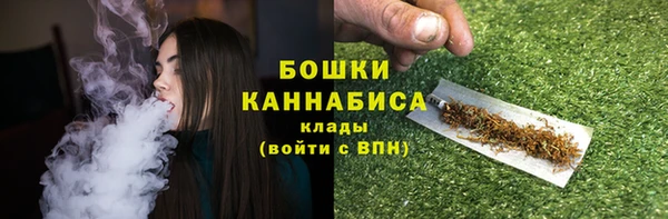 дурь Белокуриха