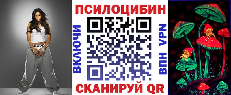 Псилоцибиновые грибы Psilocybe  Купить закладки  Венёв 